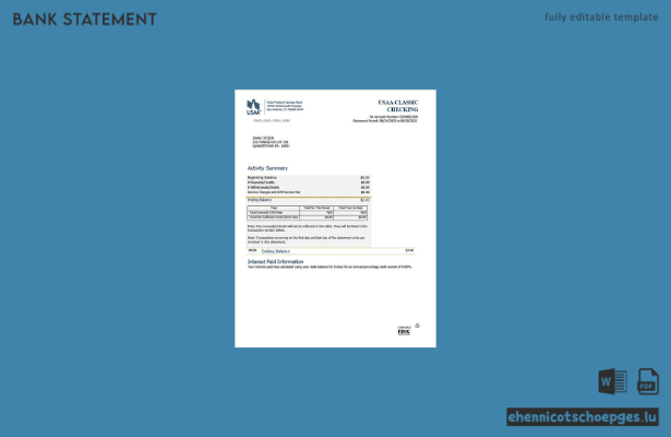 USAA Federal Savings Bank Kontoauszug (Word-Version 2) – Beispielvorschau